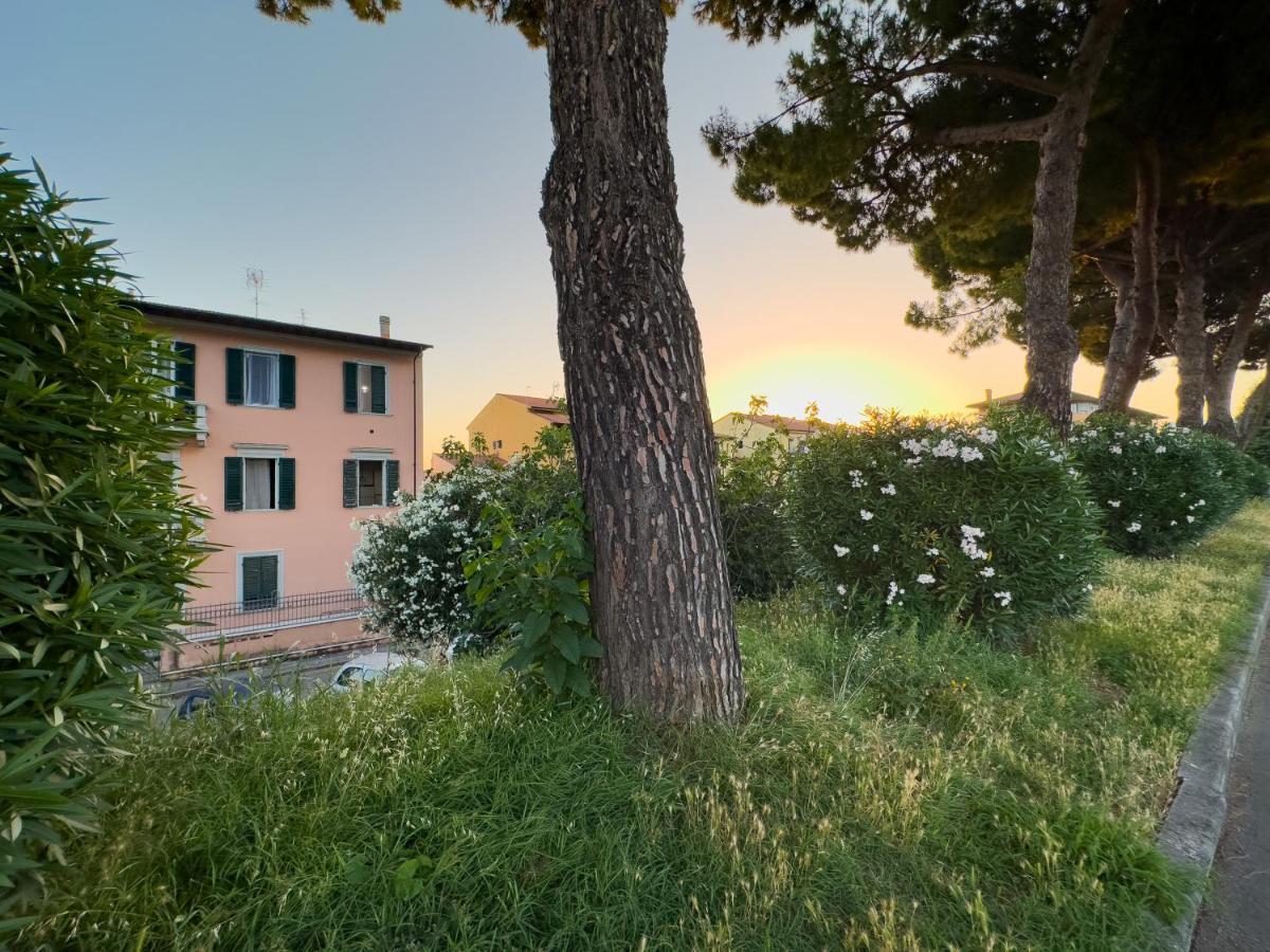 La Casa Di Eli Appartamenti Pisa Dış mekan fotoğraf