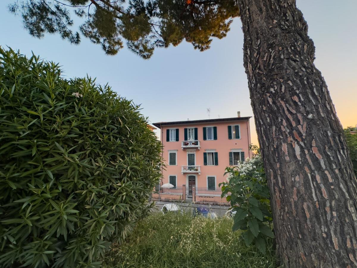 La Casa Di Eli Appartamenti Pisa Dış mekan fotoğraf